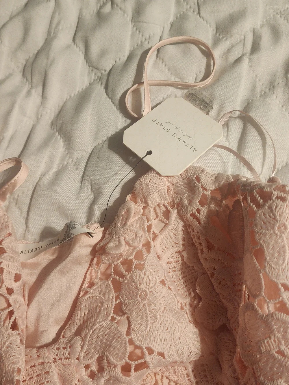 Altar'd State Blush Pink Lace Appliqué Mini Dress - Picture 5 of 7
